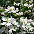 Earth Angel